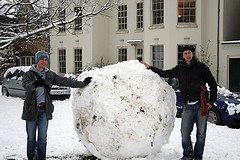 Snowball Snowball